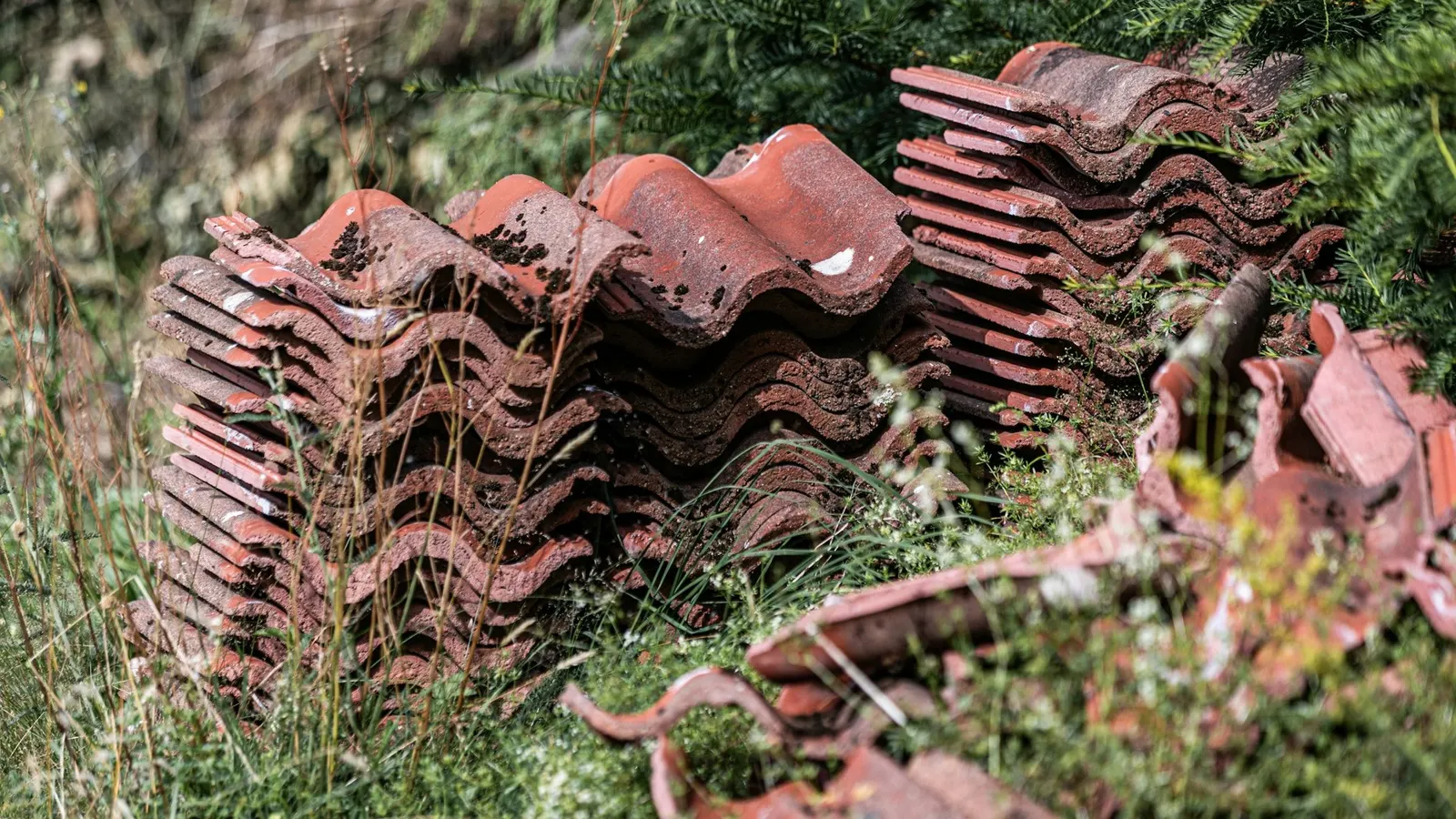 Fallen clay roof tiles lying broken in the garden below a damaged roof