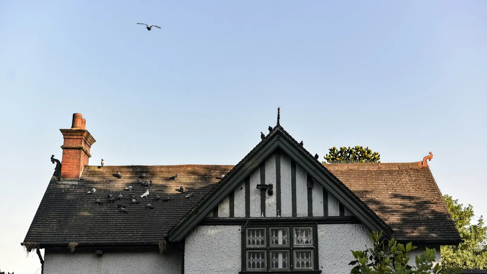 English Tudor-style house with a damaged tiled roof against a clear sky