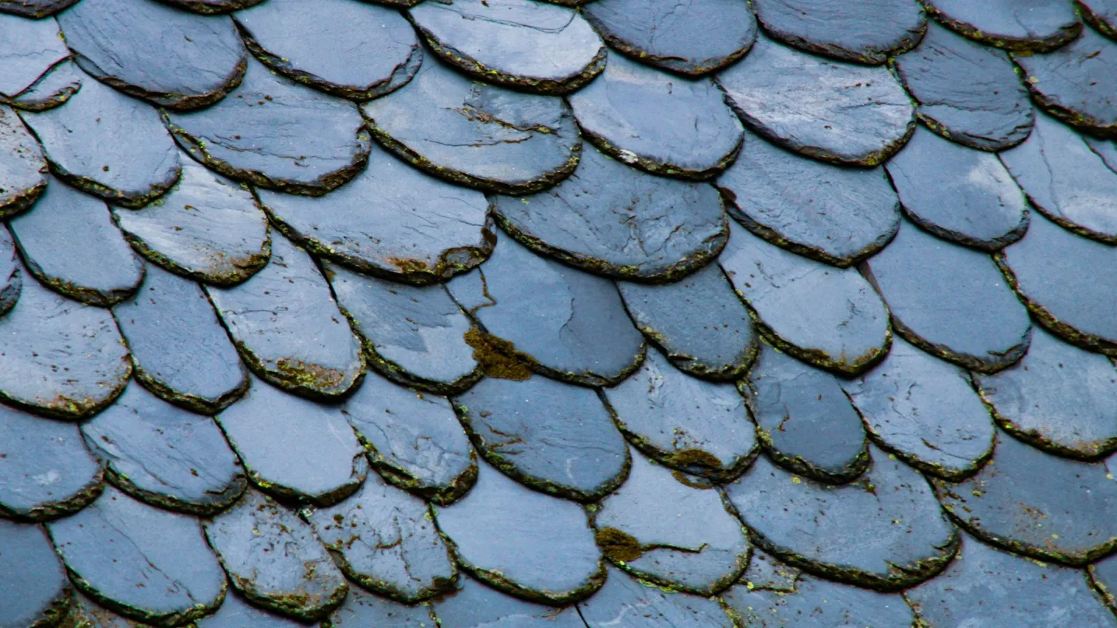 Close-up of fishscale natural slate roof tiles
