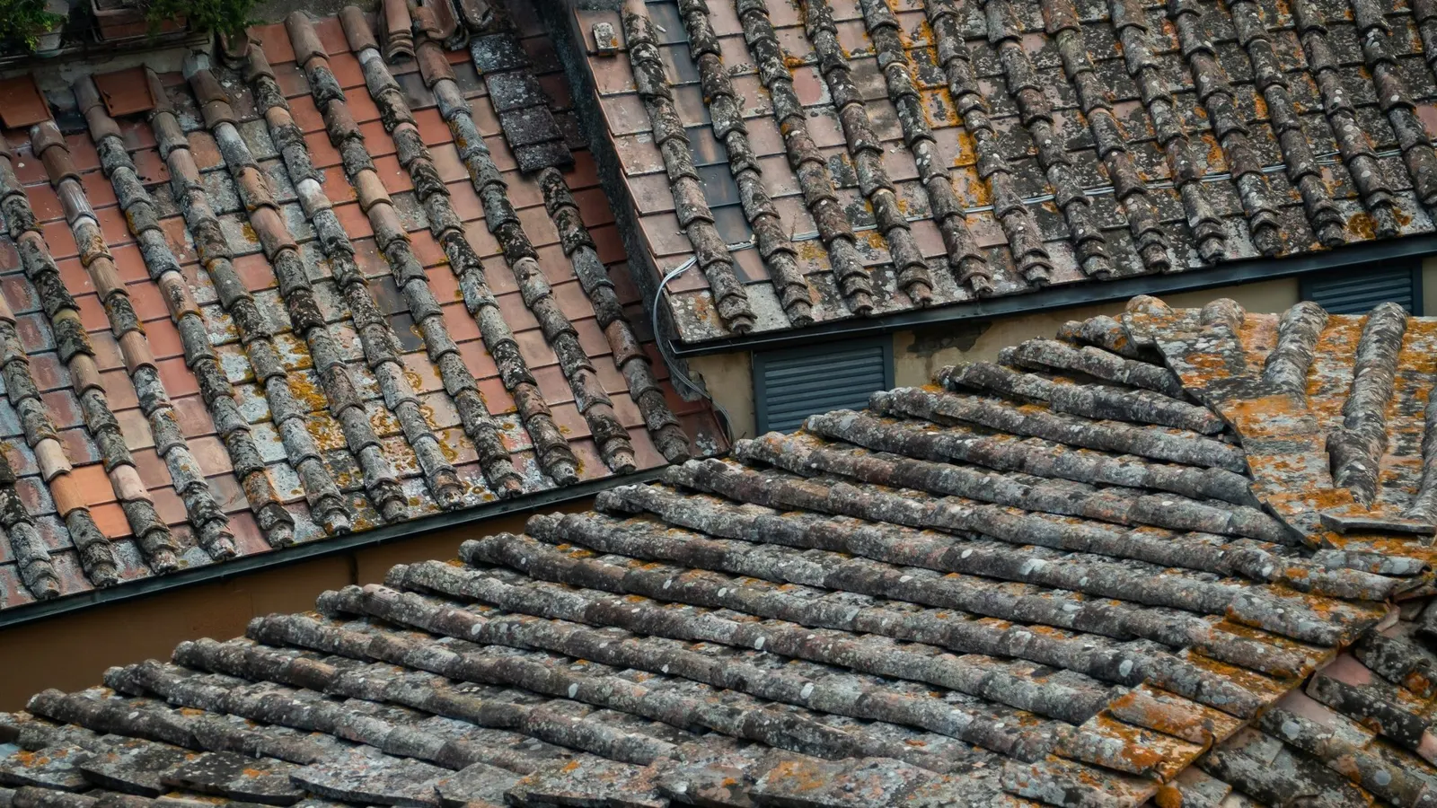 Old weathered clay tile roof covered in moss and lichen, ready for re-roofing